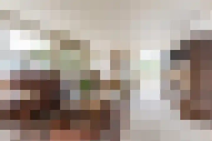 Jan Pannebakkerhof 54 Waalwijk thumbnail 6