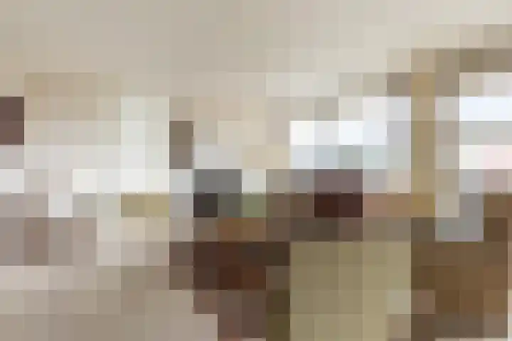 Jan Pannebakkerhof 54 Waalwijk thumbnail 7