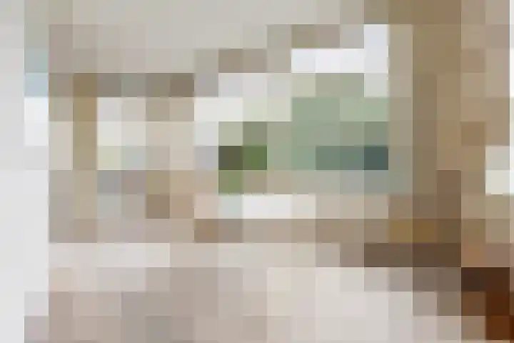 Jan Pannebakkerhof 54 Waalwijk thumbnail 9
