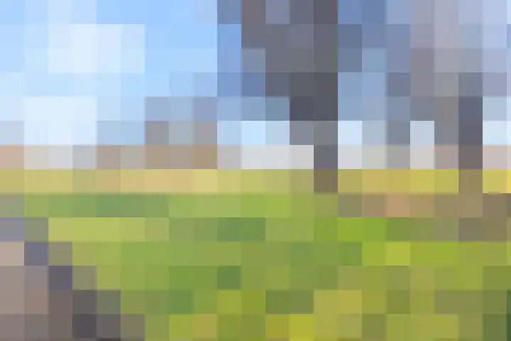 Jan Peereboomstraat 29 Den Helder thumbnail 4