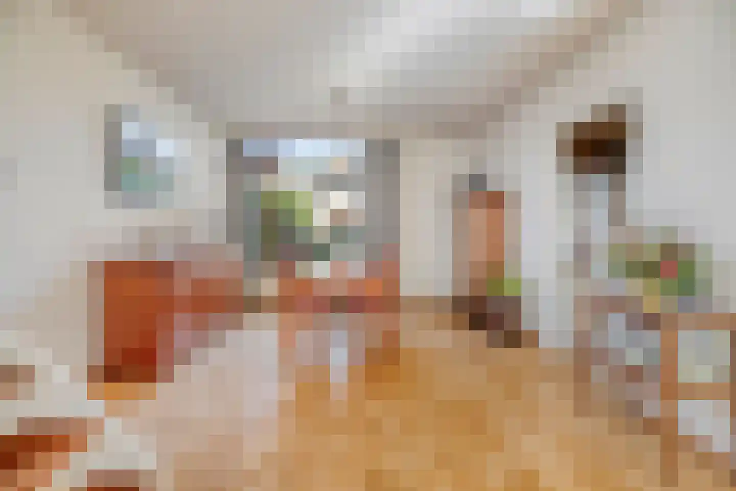 Jan Peereboomstraat 7 Den Helder thumbnail 7
