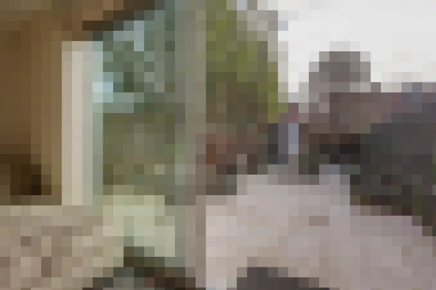 Jan Peppinkstraat 11 Amsterdam thumbnail 10