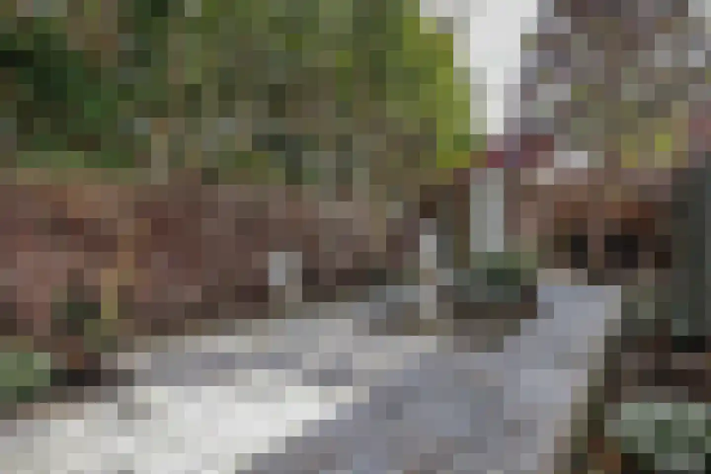 Jan Peppinkstraat 11 Amsterdam thumbnail 21