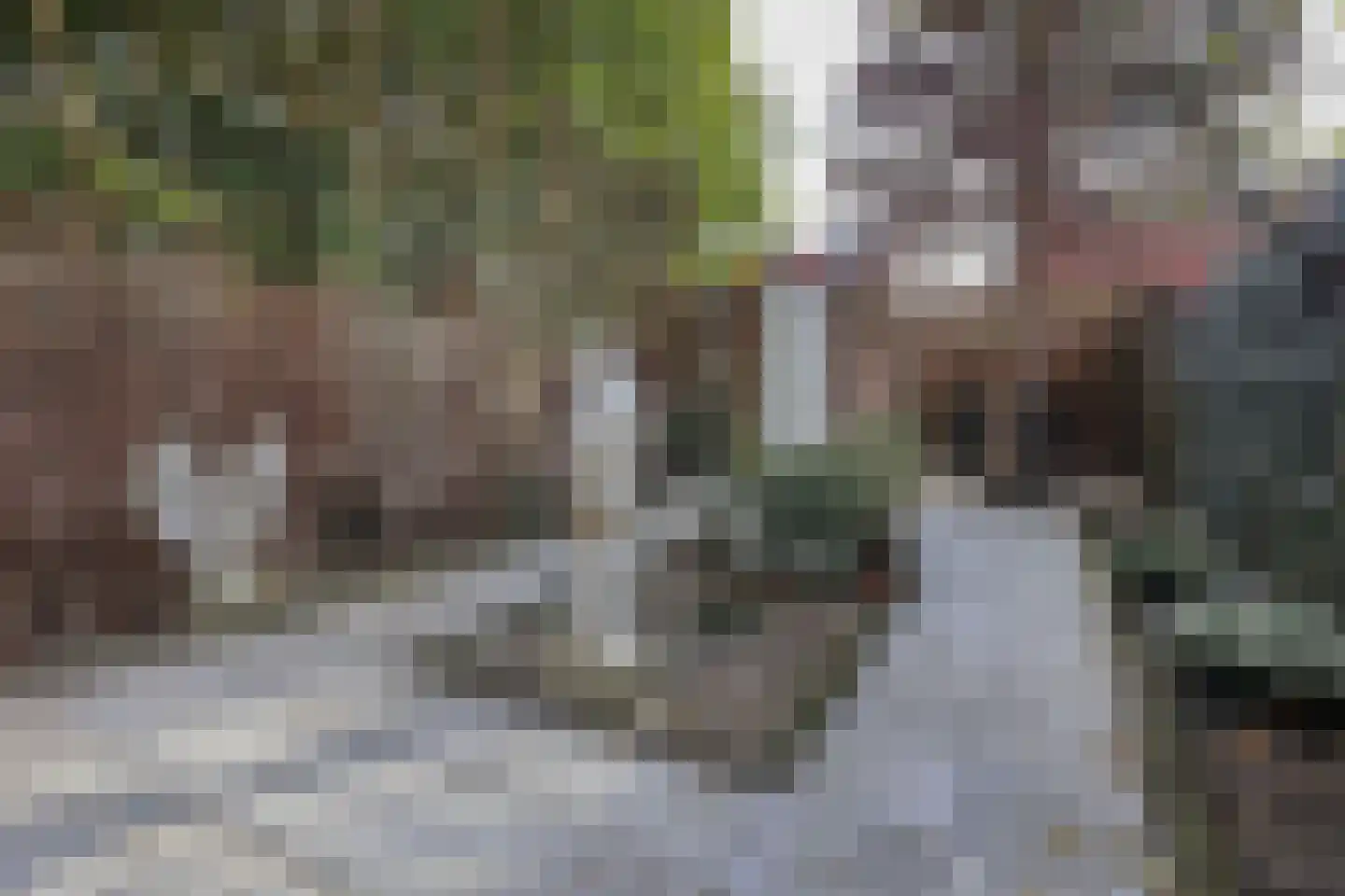Jan Peppinkstraat 11 Amsterdam thumbnail 22