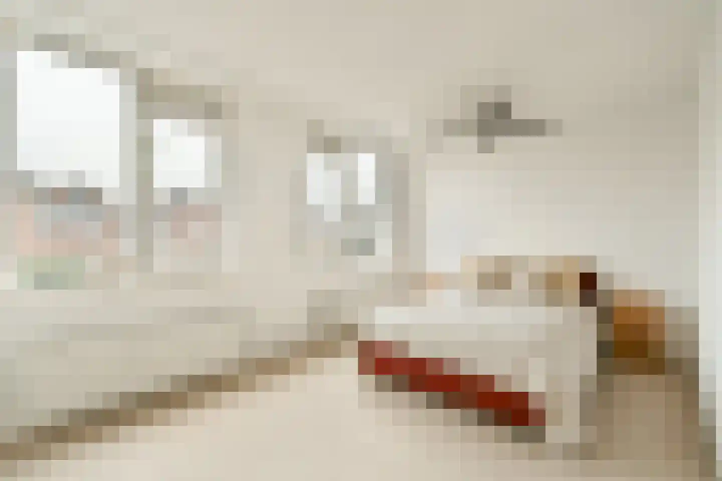 Jan Peppinkstraat 14 Amsterdam thumbnail 16