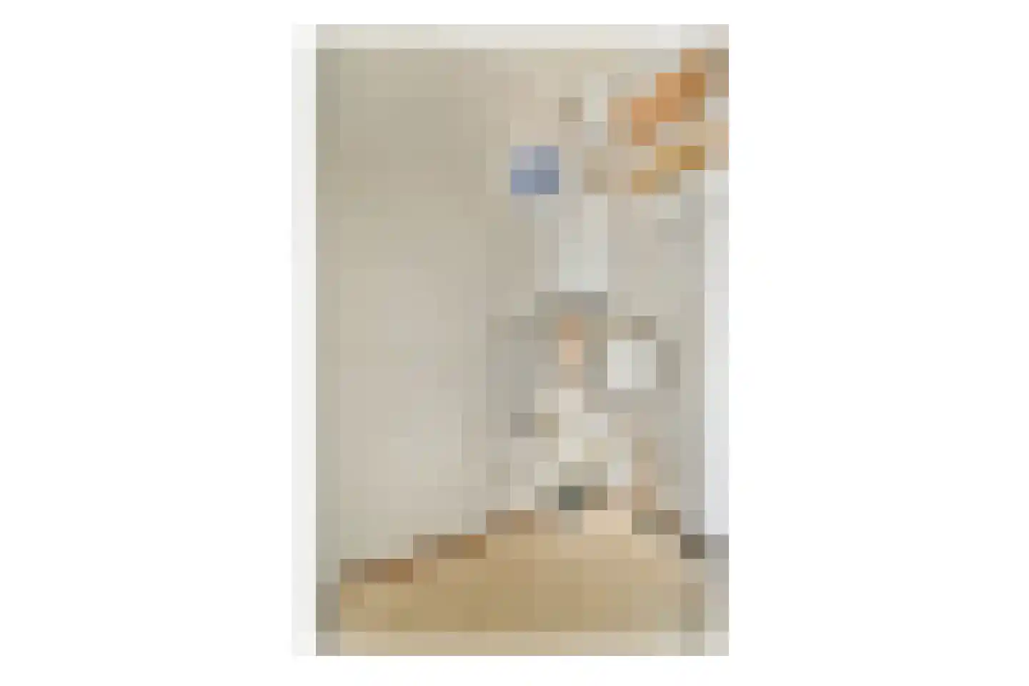 Jan Peppinkstraat 14 Amsterdam thumbnail 21
