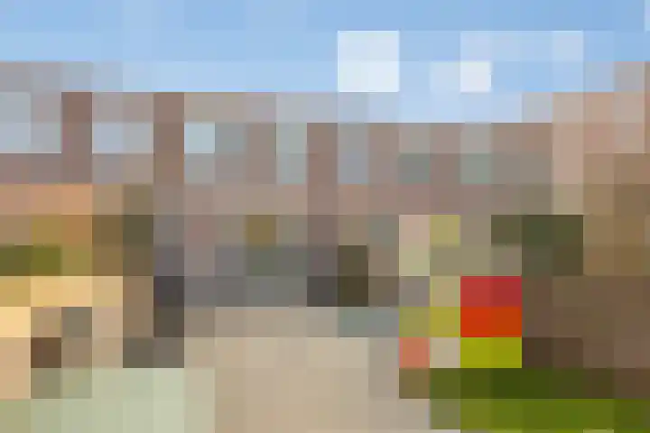 Jan Peppinkstraat 16 Amsterdam thumbnail 21