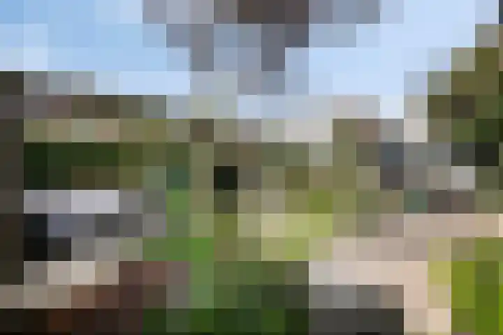Jan Persijnlaan 31 Monnickendam thumbnail 36