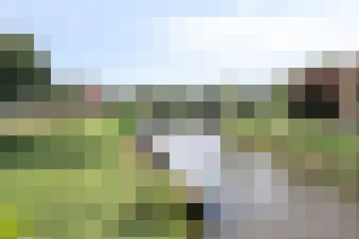 Jan Persijnlaan 31 Monnickendam thumbnail 42
