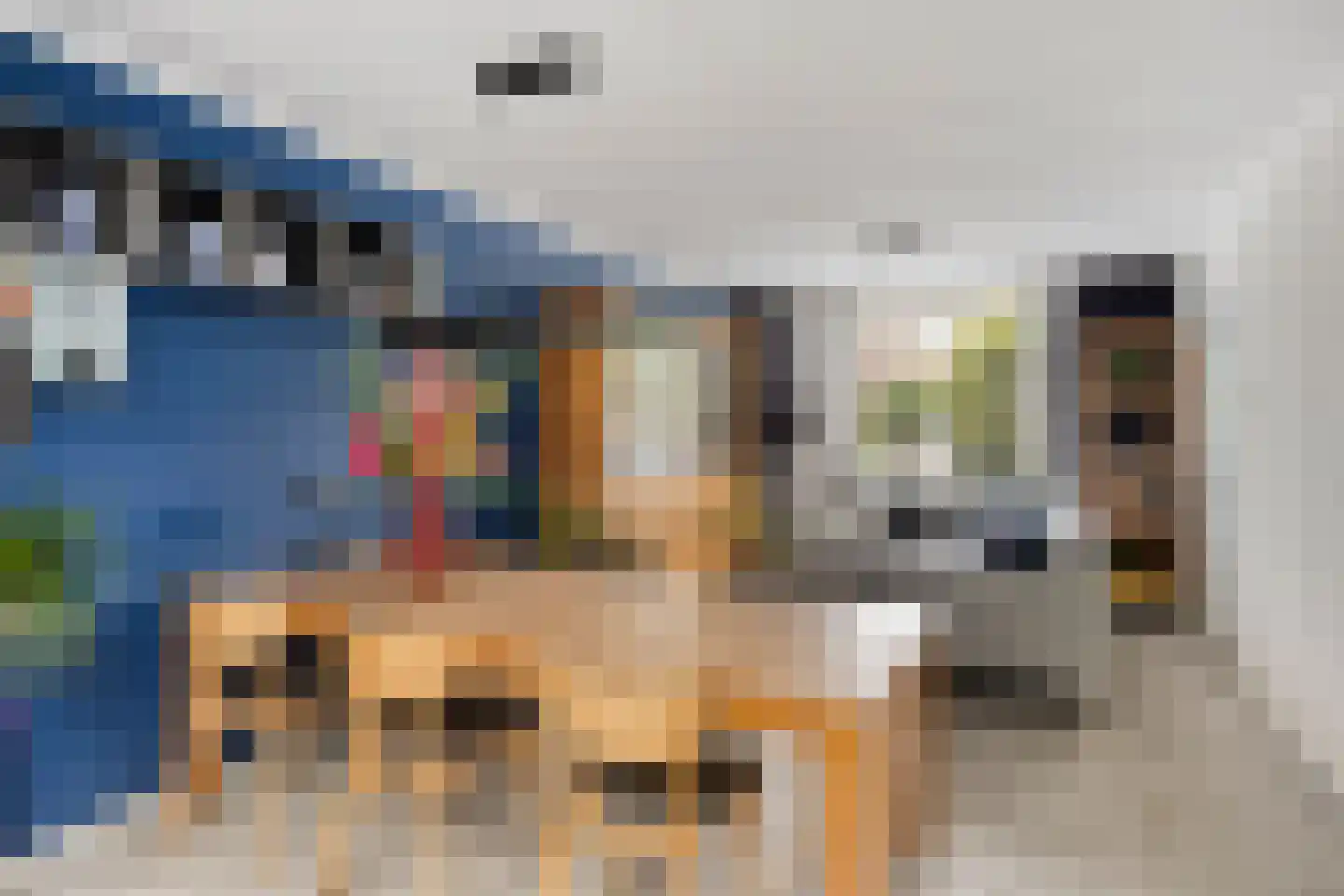 Jan Petersstraat 10 Boxmeer thumbnail 6