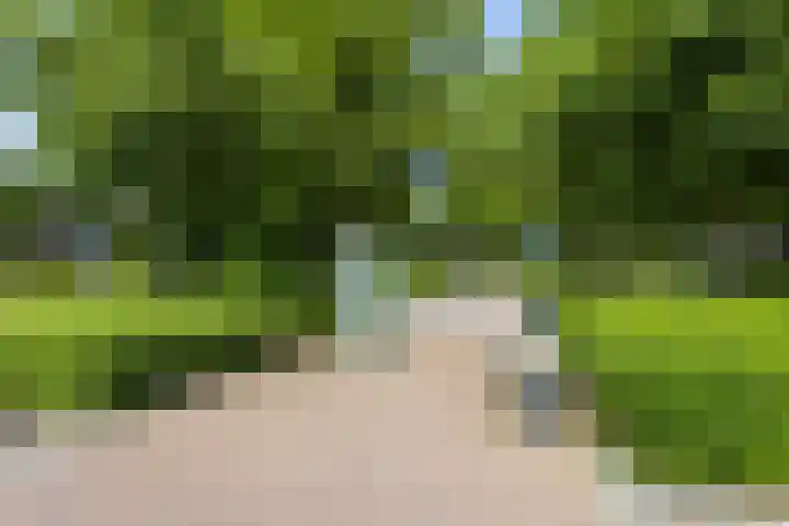 Jan Petersstraat 17 Boxmeer thumbnail 34