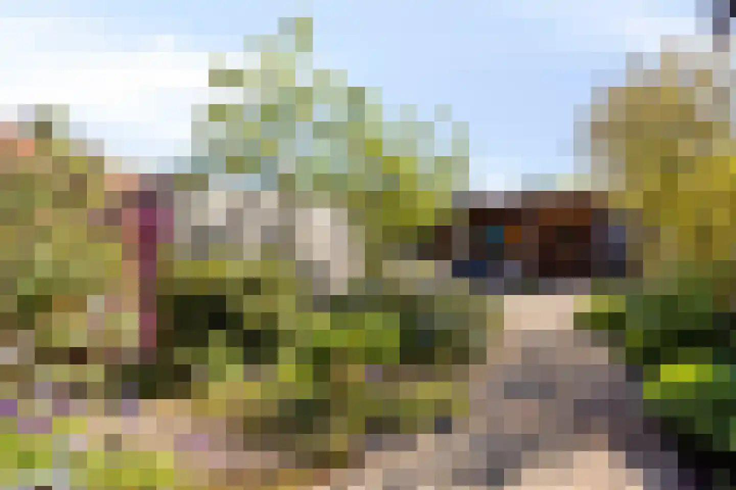 Jan Petersstraat 19 Boxmeer thumbnail 16