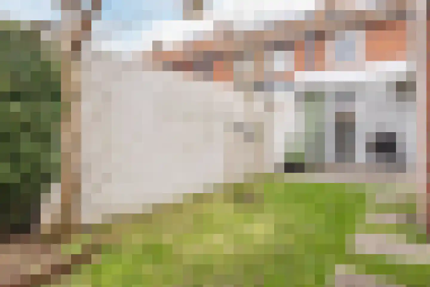 Jan Petersstraat 23 Boxmeer thumbnail 41