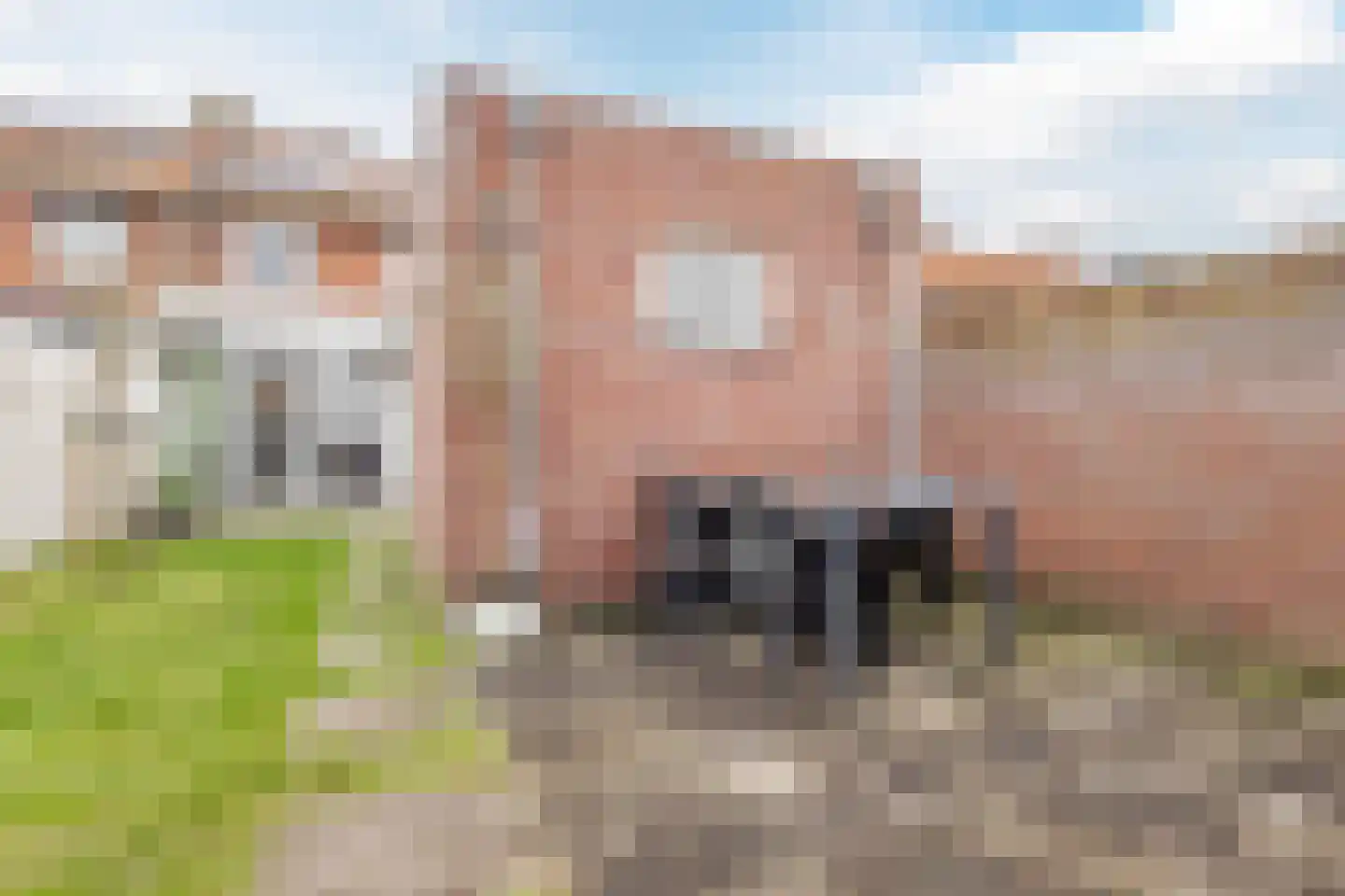 Jan Petersstraat 23 Boxmeer thumbnail 44