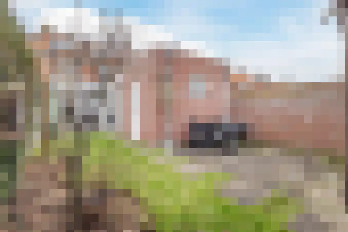 Jan Petersstraat 23 Boxmeer thumbnail 5