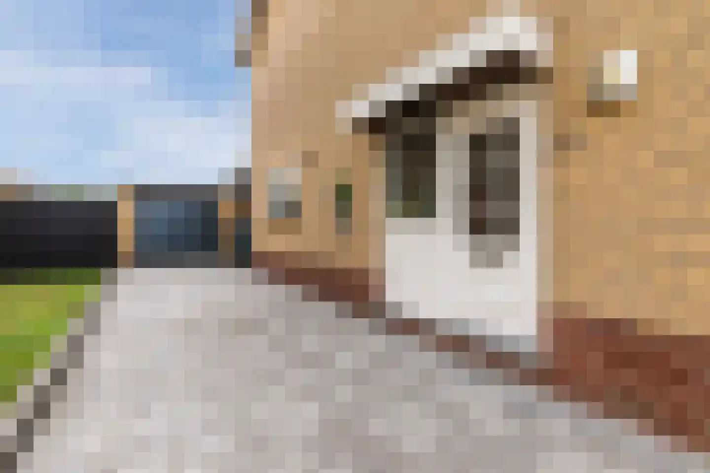 Jan Petersstraat 8 Roosteren thumbnail 9