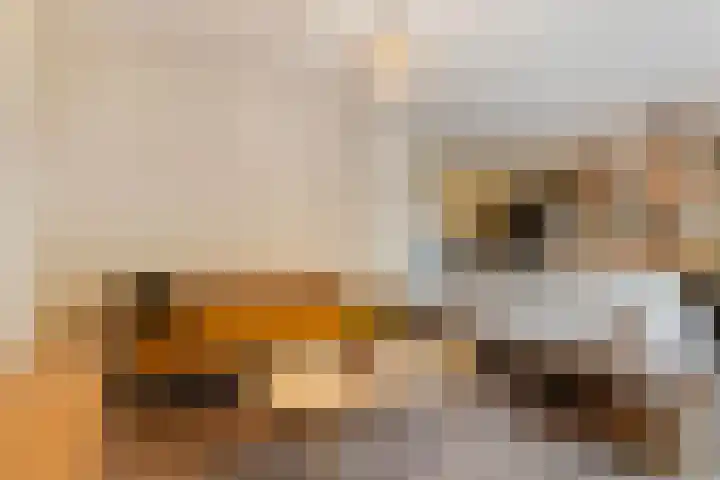 Jan Pettersonstraat 128 Rotterdam thumbnail 7