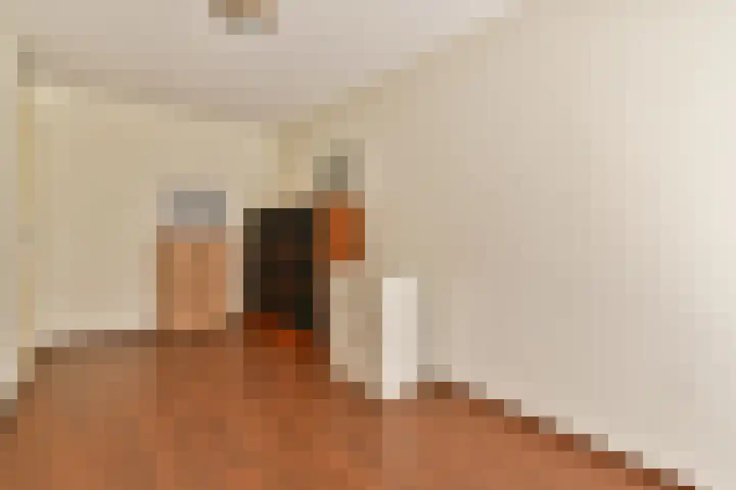 Jan Pettersonstraat 15 Rotterdam thumbnail 18