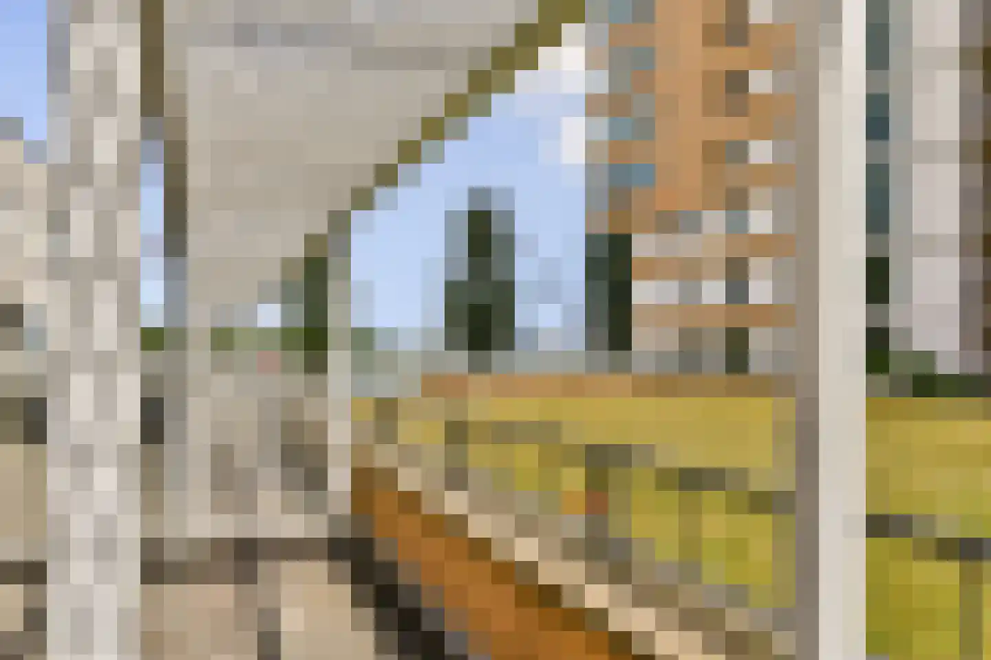 Jan Pettersonstraat 15 Rotterdam thumbnail 28