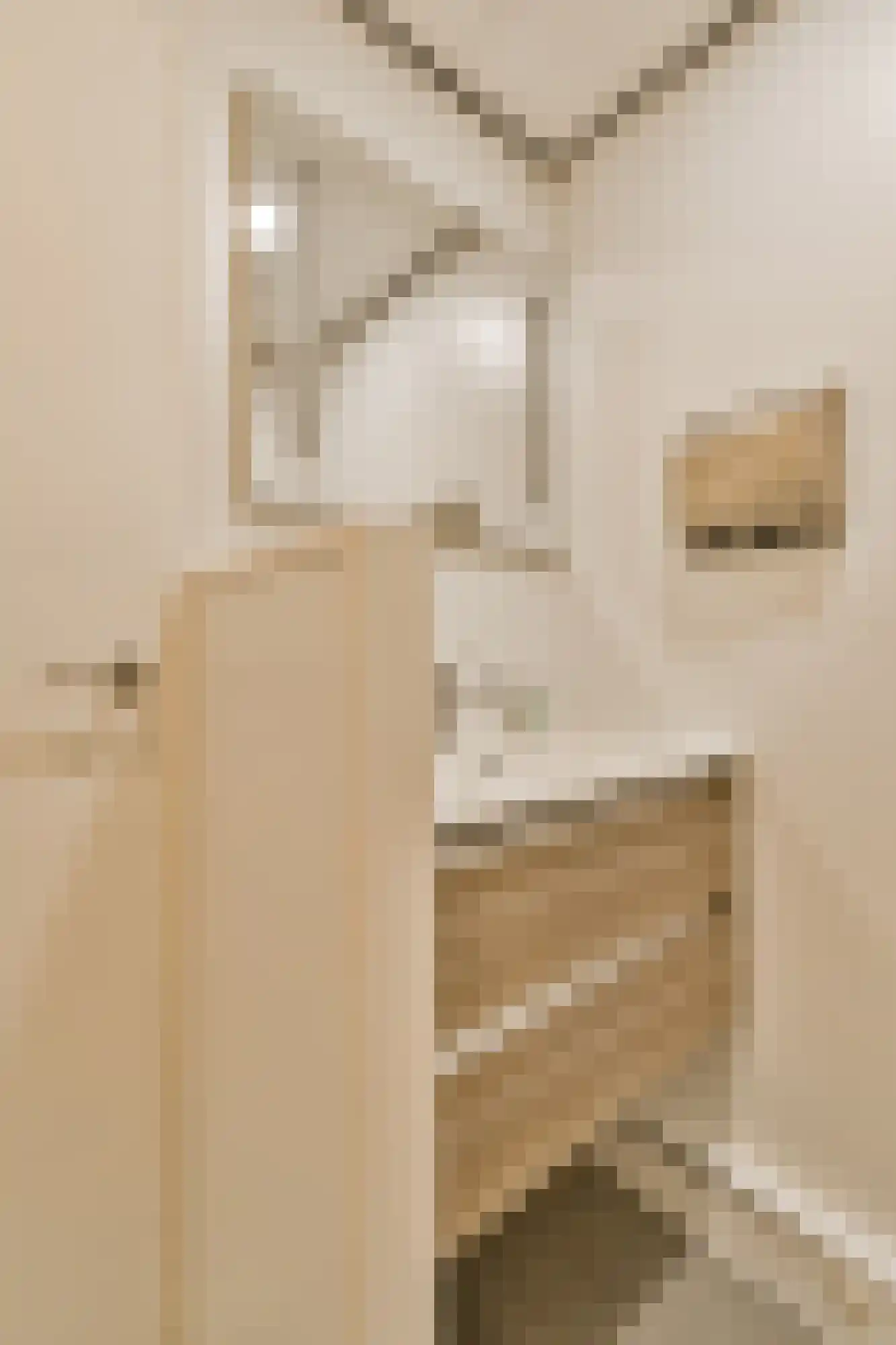 Jan Pettersonstraat 15 Rotterdam thumbnail 7
