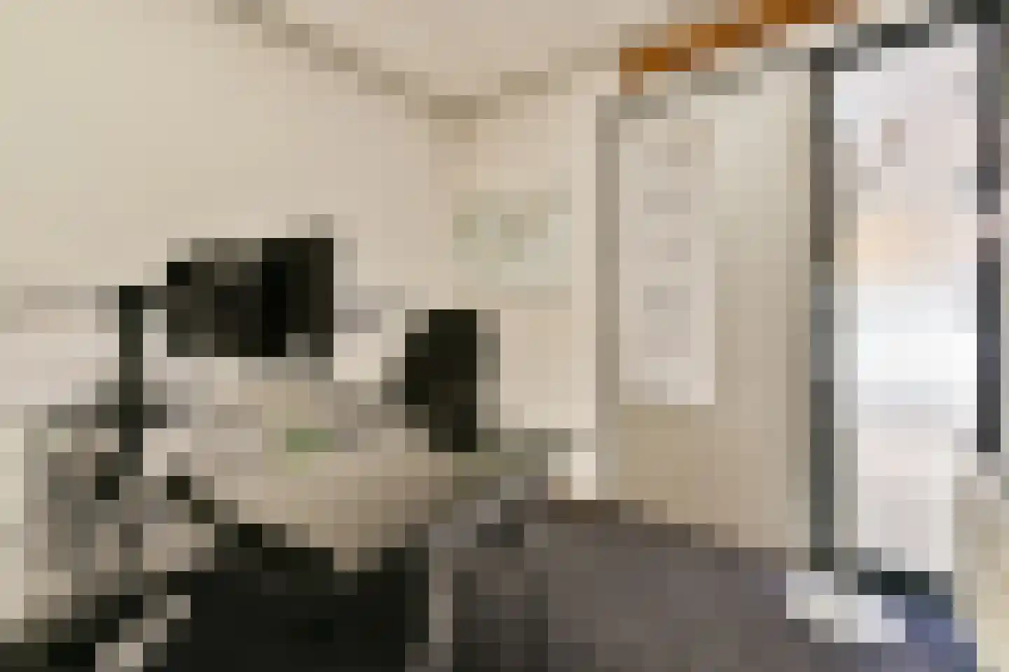 Jan Pettersonstraat 15 Rotterdam thumbnail 8