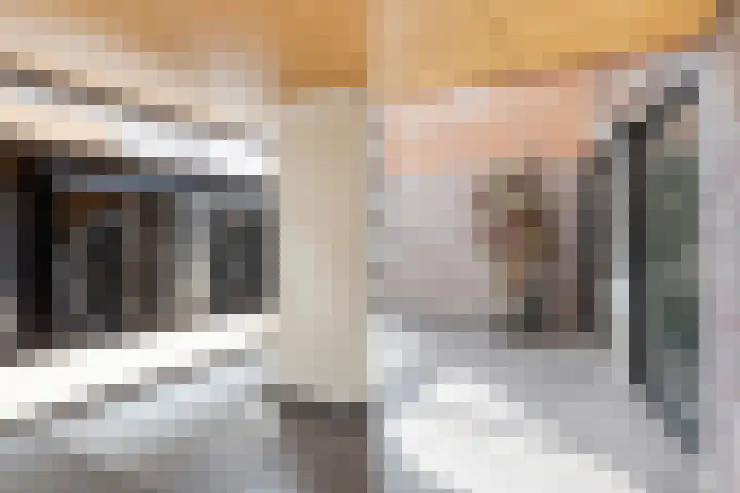 Jan Pettersonstraat 86 Rotterdam thumbnail 25