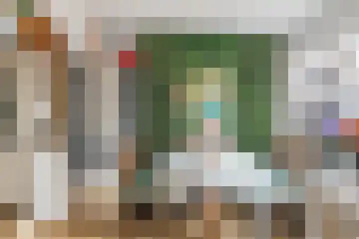 Jan Philipsweg 57 Gouda thumbnail 8