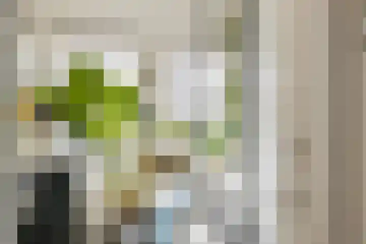 Jan Philipsweg 57 Gouda thumbnail 12