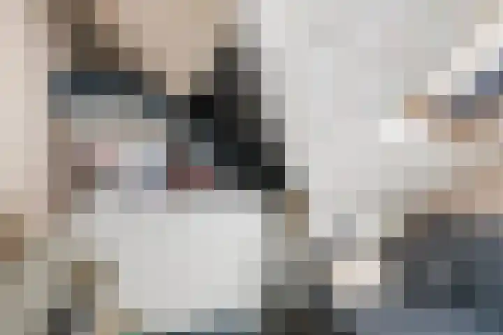 Jan Philipsweg 57 Gouda thumbnail 14