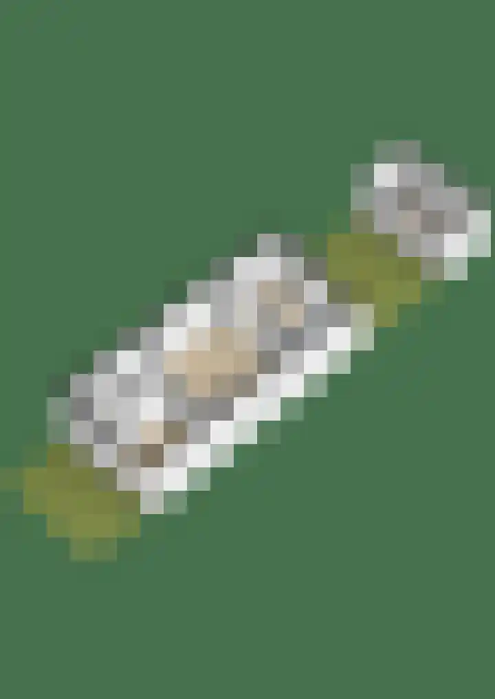 Jan Philipsweg 57 Gouda thumbnail 21