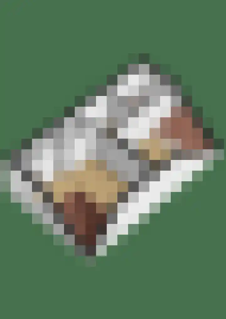 Jan Philipsweg 57 Gouda thumbnail 23