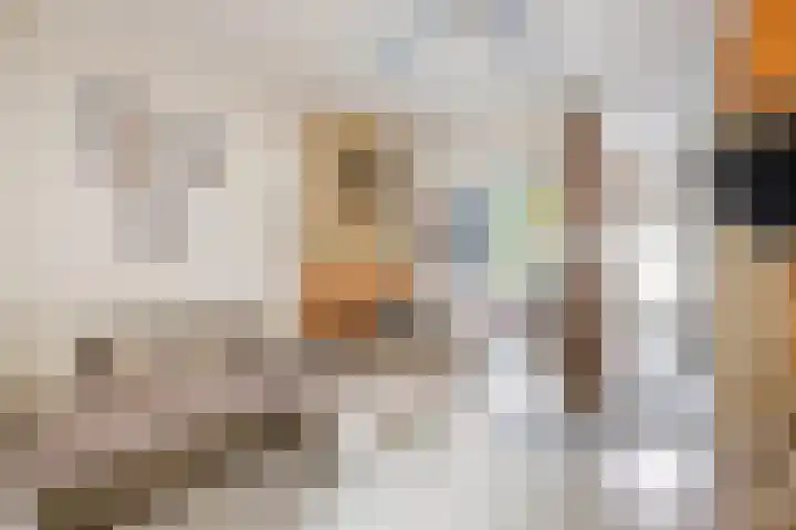 Jan Philipsweg 57 Gouda thumbnail 4