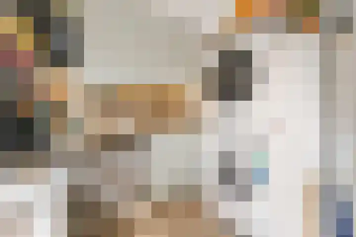 Jan Philipsweg 57 Gouda thumbnail 7