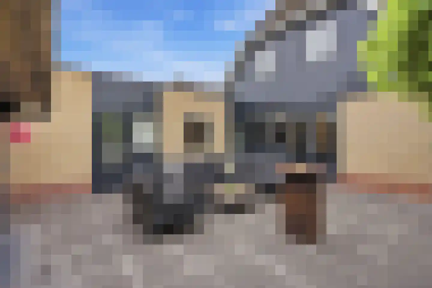Jan Piebengastrjitte 37 Franeker thumbnail 56
