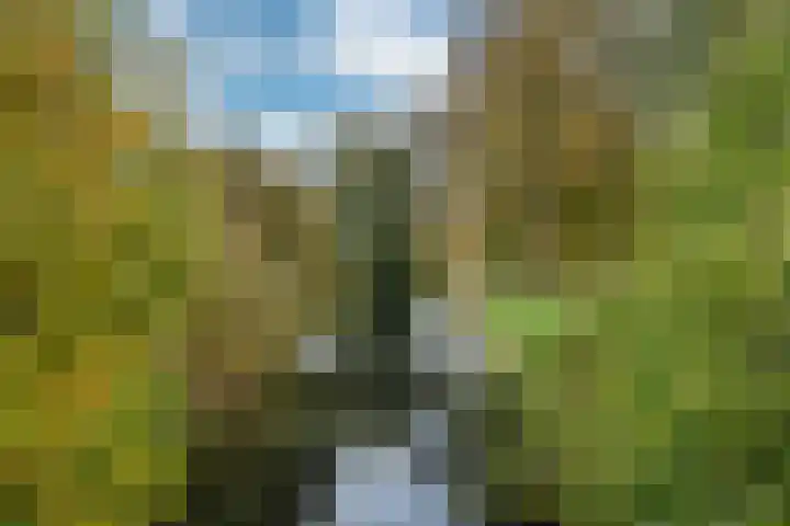 Jan Piebengawei 5 Leeuwarden thumbnail 32