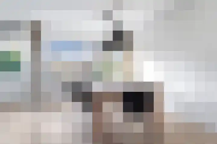 Jan Piebengawei 5 Leeuwarden thumbnail 9