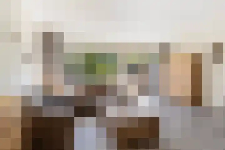 Jan Piebengawei 6 Leeuwarden thumbnail 19
