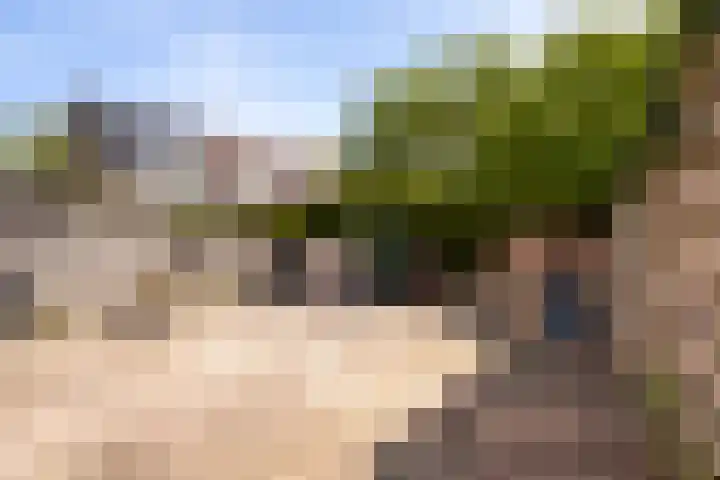 Jan Piebengawei 6 Leeuwarden thumbnail 20