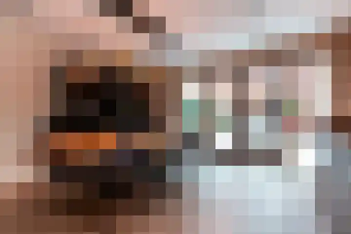 Jan Piekgracht 2 Harderwijk thumbnail 13