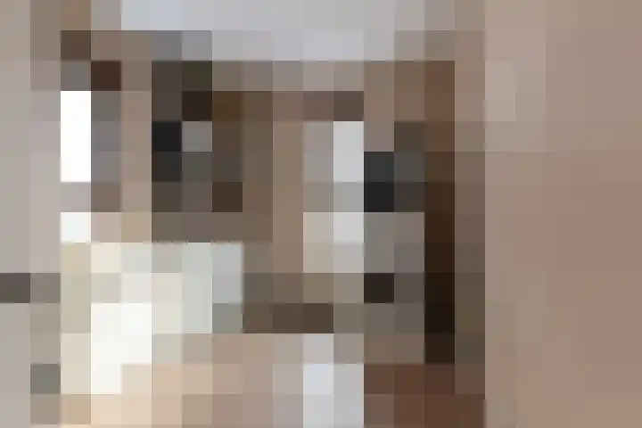 Jan Piekgracht 2 Harderwijk thumbnail 35