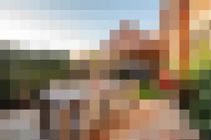 Jan Piekgracht 2 Harderwijk thumbnail 46