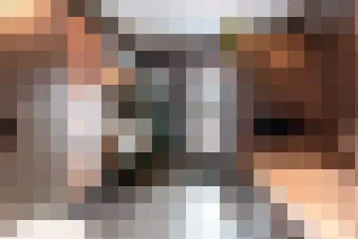 Jan Piekgracht 2 Harderwijk thumbnail 6