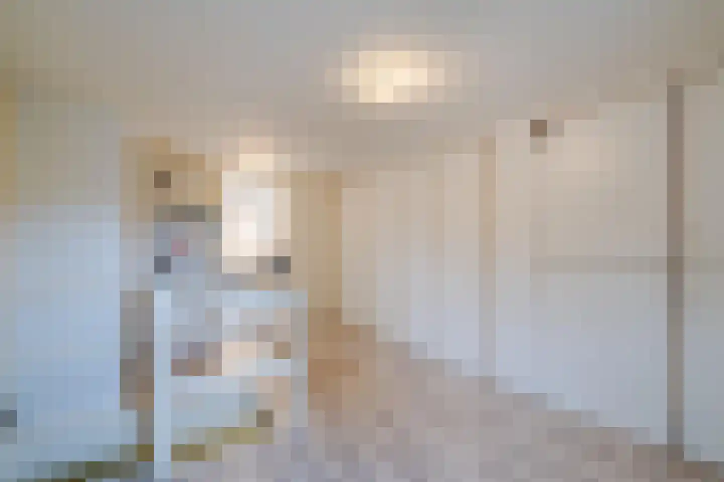 Jan Pieter Heijelaan 1 B Zeist thumbnail 30