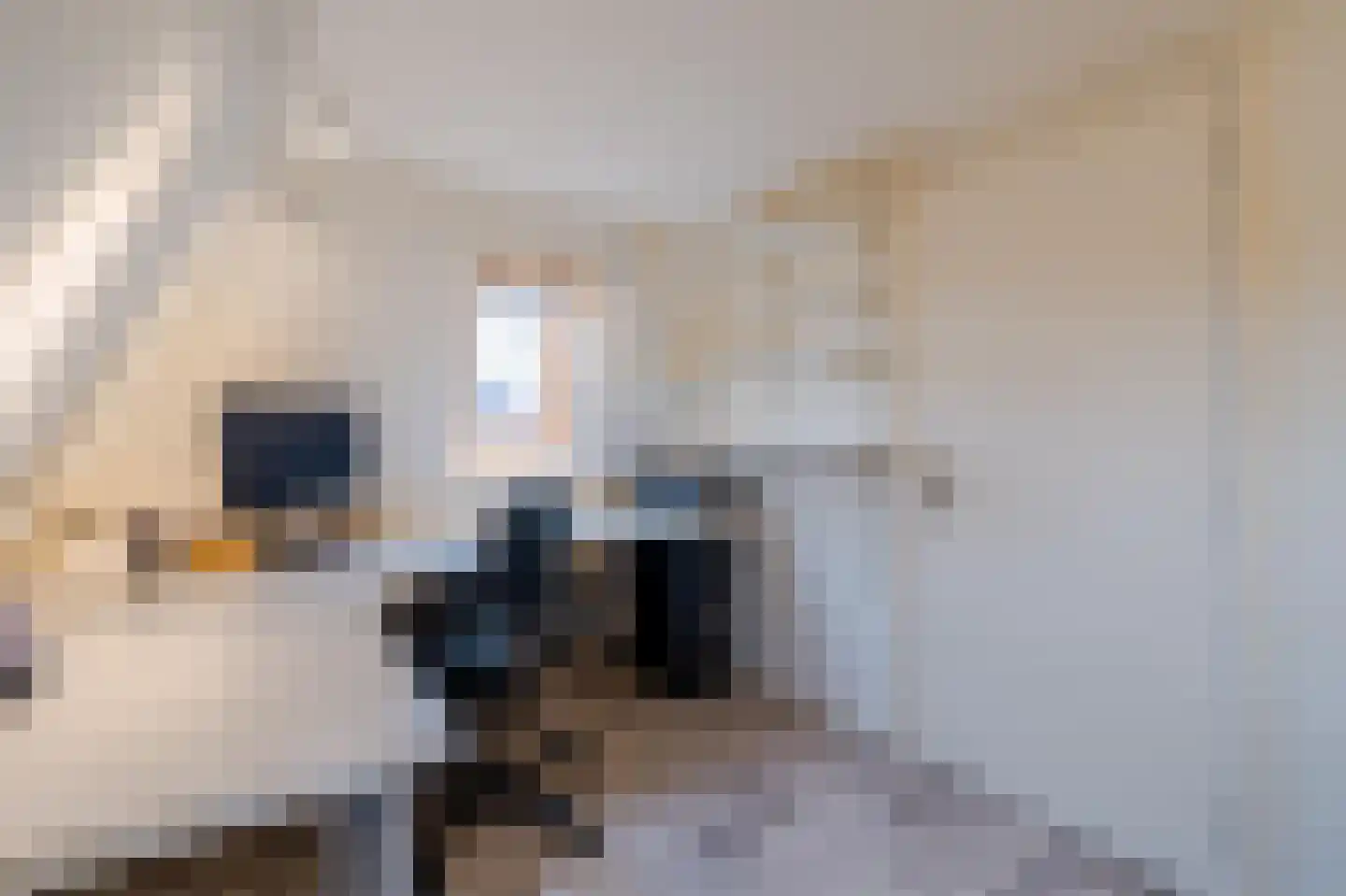 Jan Pieter Heijelaan 1 B Zeist thumbnail 35