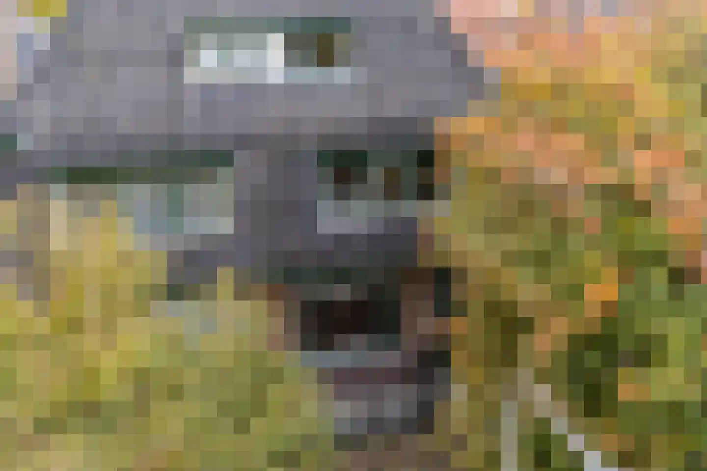 Jan Pieter Heijelaan 1 B Zeist thumbnail 4