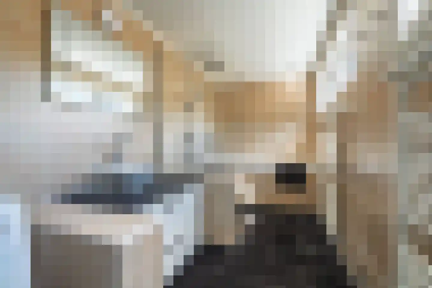 Jan Pieter Heijelaan 8 Zeist thumbnail 11