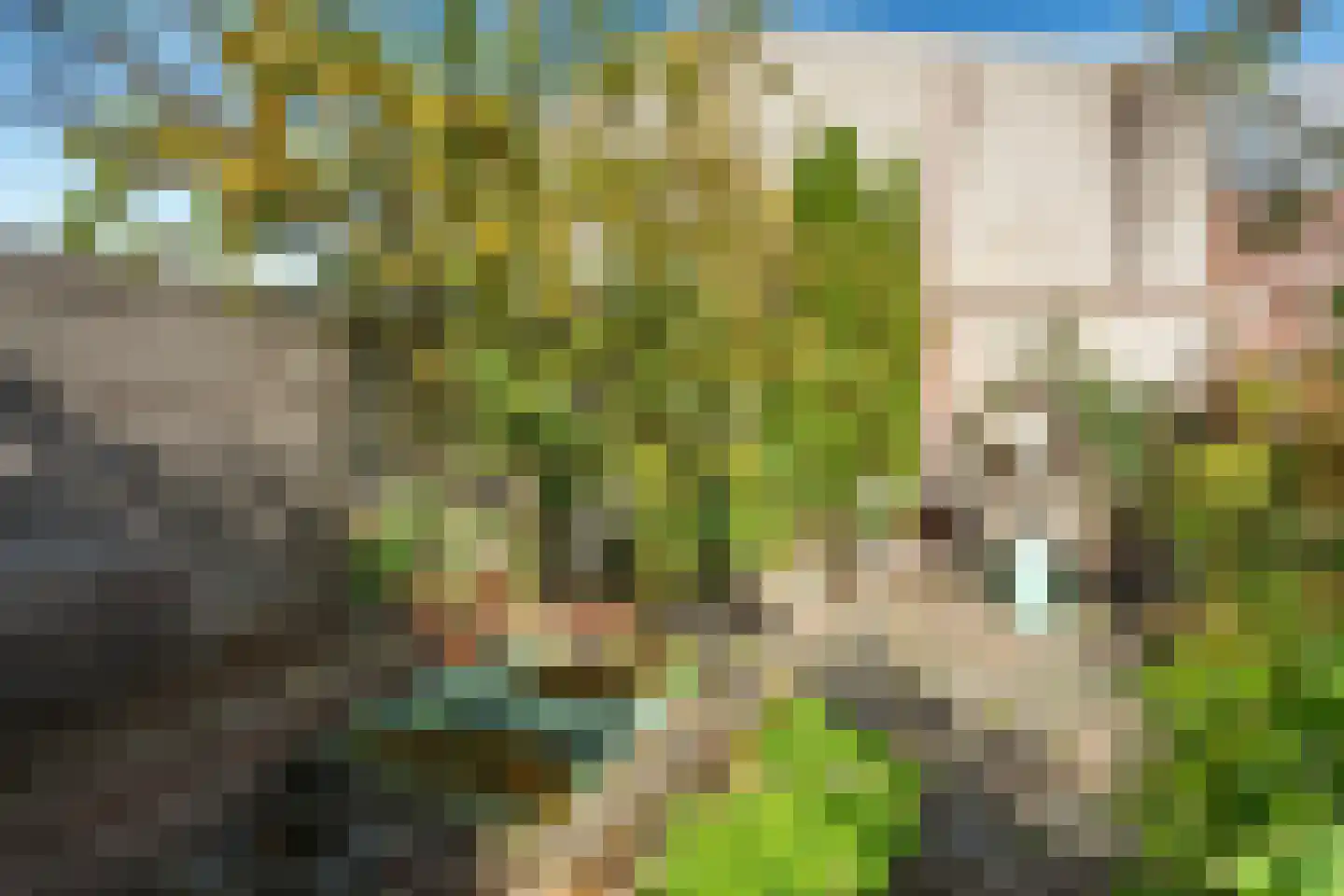 Jan Pieter Heijelaan 8 Zeist thumbnail 18