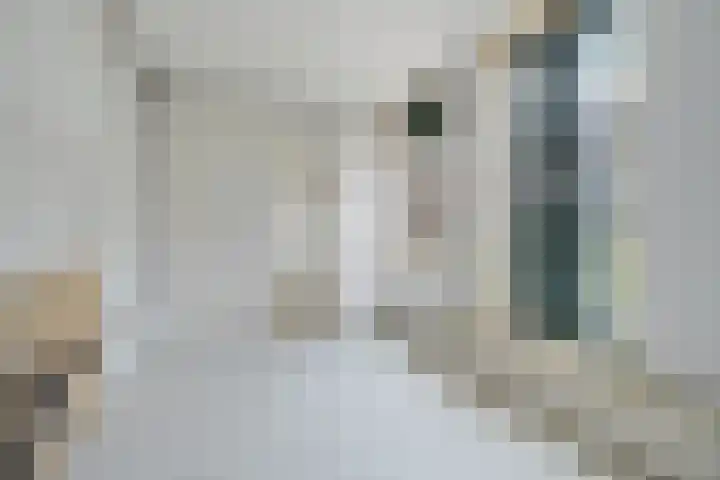 Jan Pieter Heijestraat 101 E Amsterdam thumbnail 10