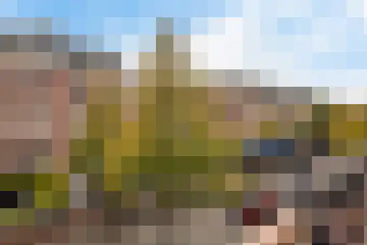 Jan Pieter Heijestraat 145 3 Amsterdam thumbnail 11