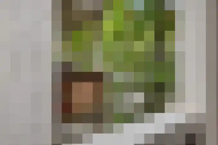 Jan Pieter Heijestraat 145 3 Amsterdam thumbnail 8